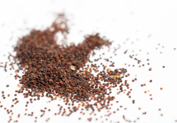 istock Opium Poppy seeds on white background. 1357124048