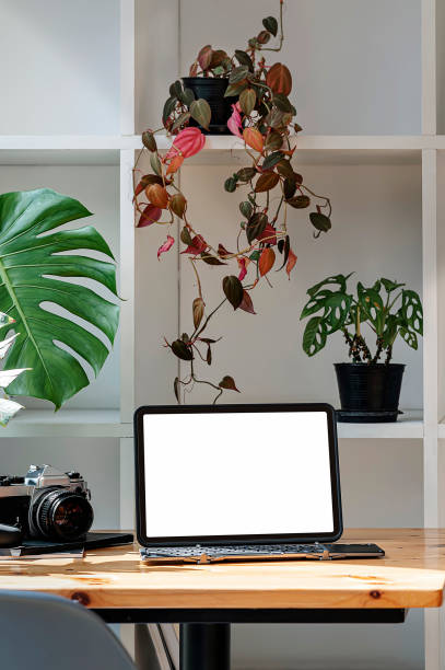 istock Mockup tablet with plant on wooden shelf background. 1357126601