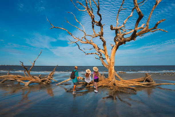 rodzinny relaks na plaży jekyll island o wschodzie słońca. - jekyll island zdjęcia i obrazy z banku zdjęć