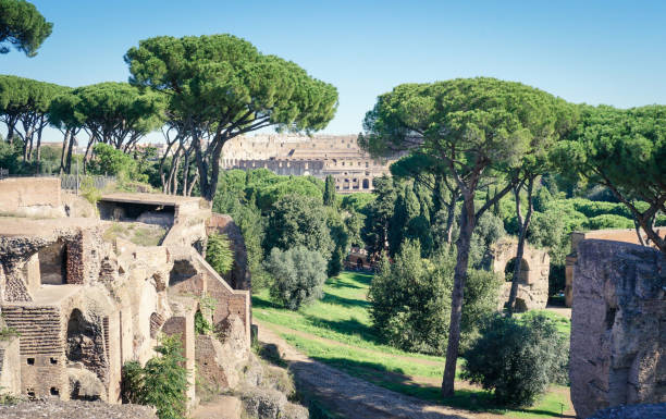 istock Ruins and pines on Palatine Hill 1357131937