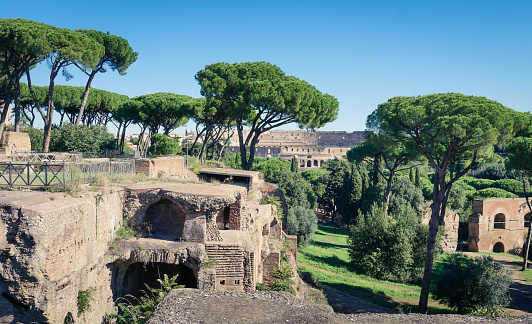 View of Rome from the Palatine Hill with the Colosseum in the background