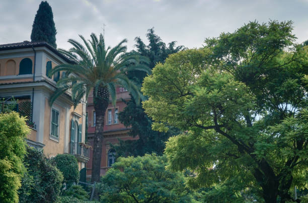 istock Trees on the Aventine Hill 1357132475