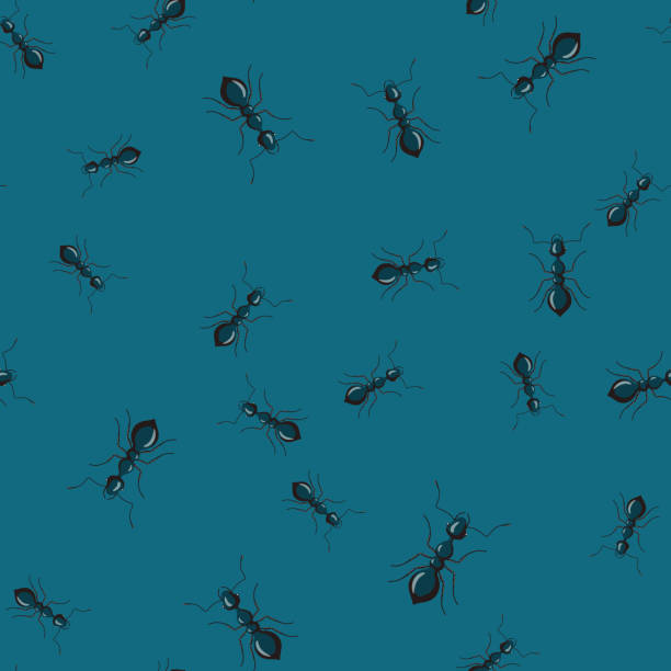 illustrations, cliparts, dessins animés et icônes de fourmis de colonie à motif sans couture sur fond bleu foncé. modèle d’insectes vecteurs dans un style plat pour n’importe quel but. texture d’animaux modernes. - colonie danimaux