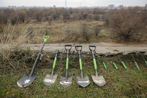 Shallow depth of field (selective focus) image with shovels and hoes with autumn vegetal background.