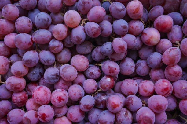 primo piano di crudo biologico dolce uva rossa sfondo - red grape grape fruit sweet food foto e immagini stock