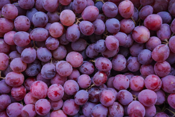 close-up de fundo de uvas vermelhas orgânicas cruas - red grape grape fruit sweet food - fotografias e filmes do acervo