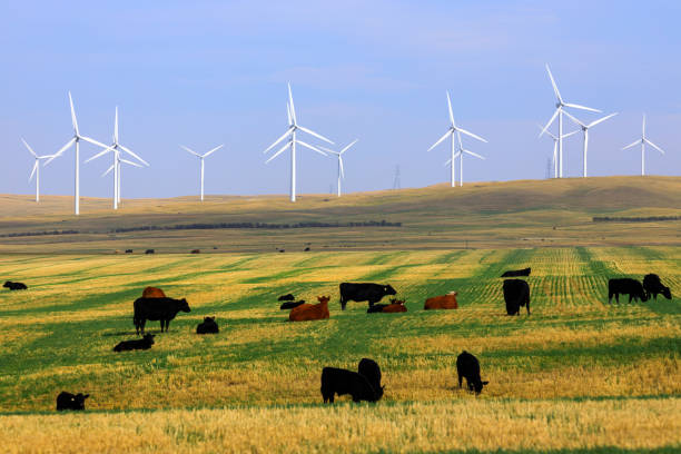 istock Wind Turbine Renewable Energy Alberta 1357139514