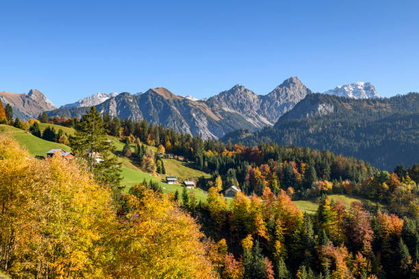 Idyllic landscape with a colorful forest in front and tall mountains in the background. Vorarlberg, grosses Walsertal