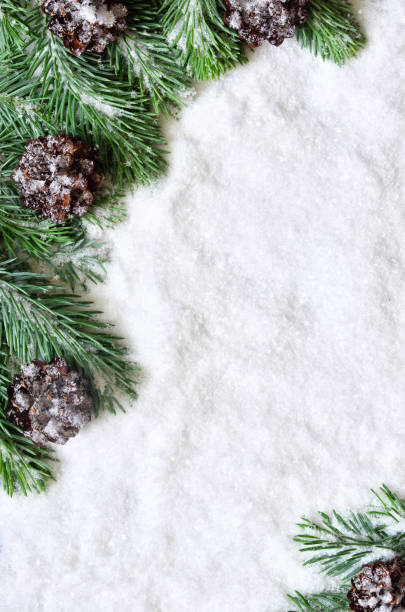 istock Snow background with fir branches and pine cones. 1357141606