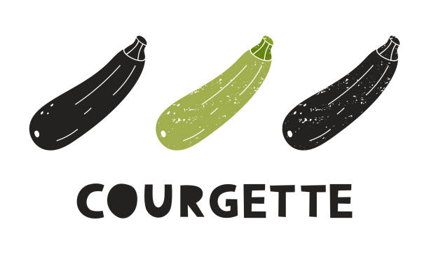 ilustrações de stock, clip art, desenhos animados e ícones de courgette, silhouette icons set with lettering. imitation of stamp, print with scuffs - zucchini