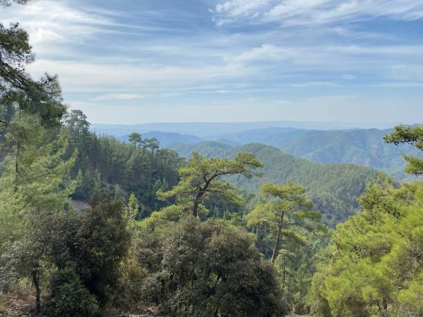 istock Gorgeous view from the mountain top 1357145174