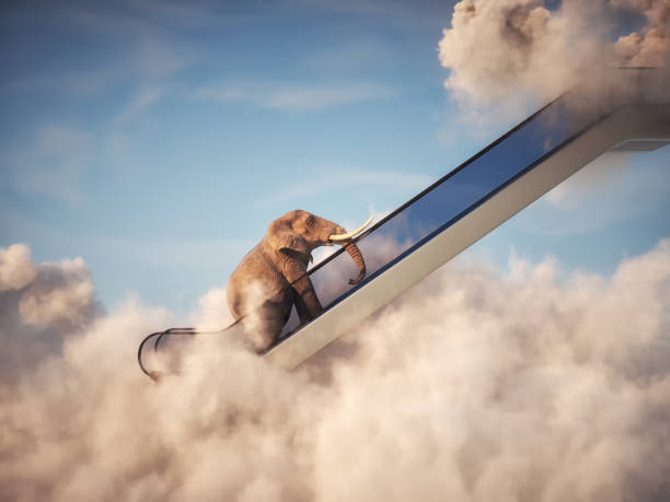 Elephant on escalator above clouds. Aspirations and promotion concept.