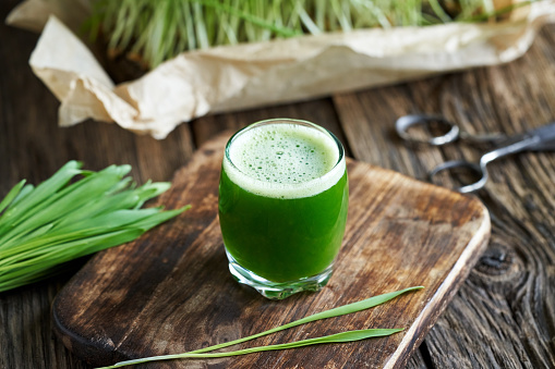 A glass of green juice made from fresh young barley grass