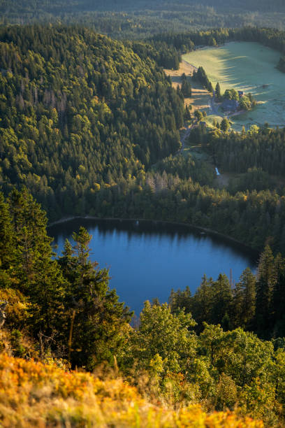 istock Elevated, scenic view of forested alpine lake 1357153303