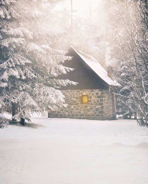 istock Idyllic winter house covered with snow 1357158528