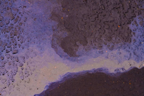 oil stain on the asphalt road after rain