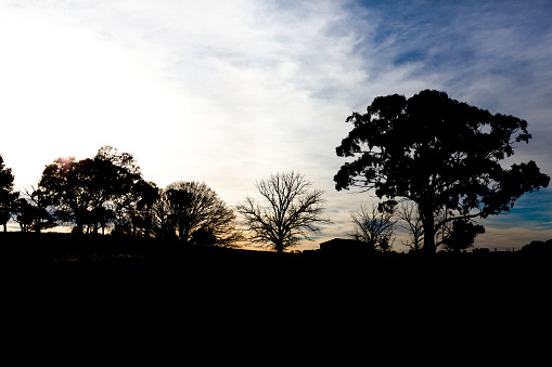 Silhouette of farm house with trees in dark landscape, background with copy space, full frame horizontal composition