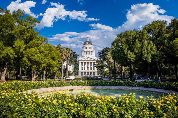 Capitol of California at Sacramento The California state capitol building in Sacramento rotunda photos stock pictures, royalty-free photos & images