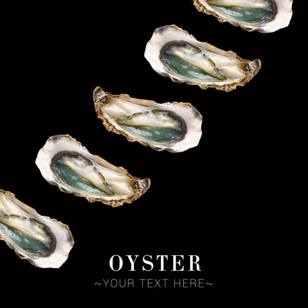 oyster pattern isolated on black background ready food banner with text space - pacific oyster imagens e fotografias de stock