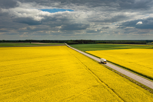 Truck on a road, aerial landscape of a road amongst fields of yellow colza under moody cloudy sky, drone perspective