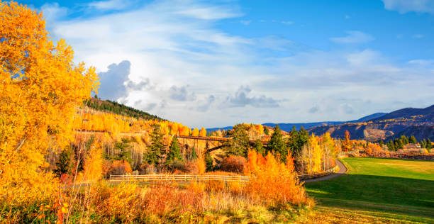 istock Autumn Colors-Aspen Colorado 1357188729