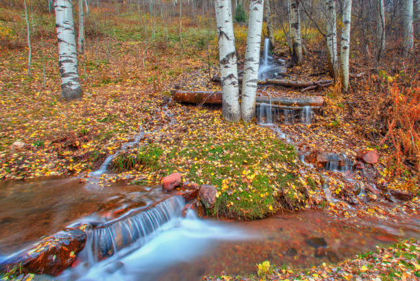 Small Waterfall near Aspen Colorado
