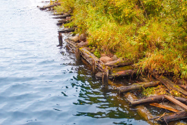 istock Old destroyed decayed wooden pier on the river in autumn 1357192934