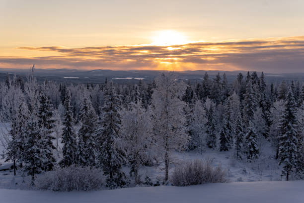istock Winter wonderland 1357195163