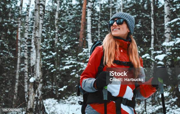 Beautiful Young Woman Dressed In Warm Sportswear Hat And Sunglasses Stands With Trekking Poles In A Snowy Pine Forest Copy Space Stock Photo - Download Image Now