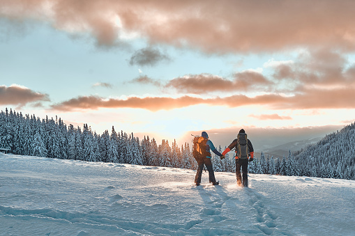 Romantic couple of tourists dressed in warm winter sportswear with tourist backpacks walking with trekking poles in the snowy pine mountains in an incredible sunset. Family, rest.