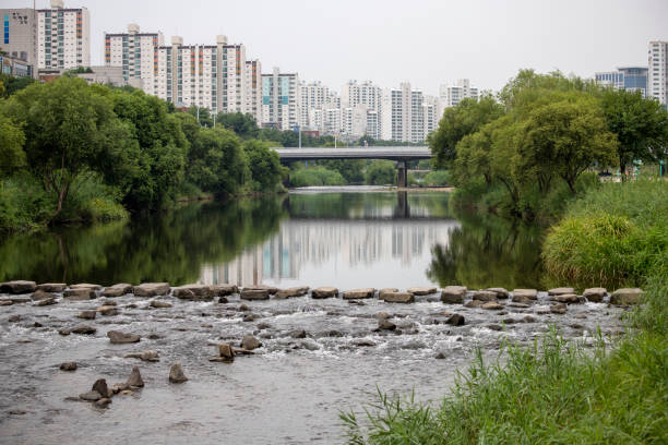 Tancheon, Gyeonggi-do