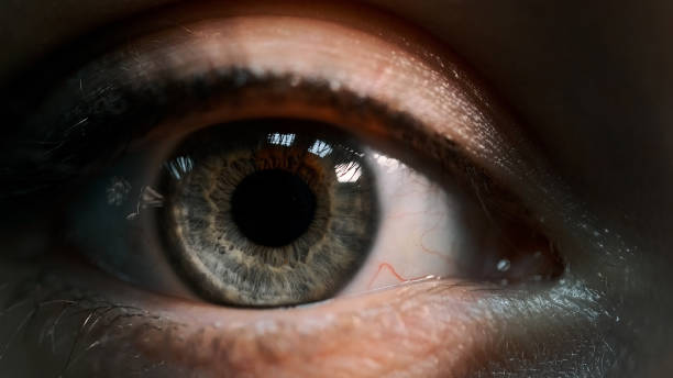 istock Women's Grey Eye with Brown Spot. Close-up. 1357213121