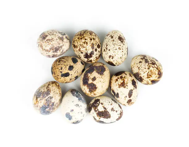 Quail Eggs on White Background