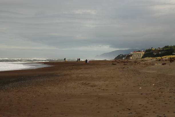 istock Oregon Coast at Lincoln City 1357215709