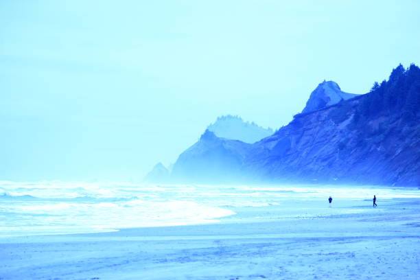 Picture of Pacific Ocean beach and mountains at the horizon