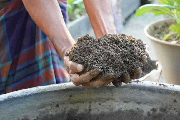 istock farmer hand hold soil close up 1357217332