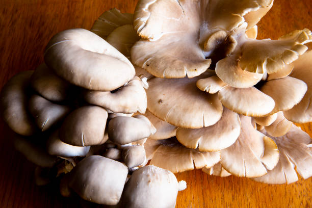istock Organic mushroom over a table. 1357223173