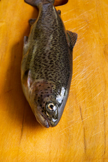 istock Preparation of fresh trout for cooking. 1357225714