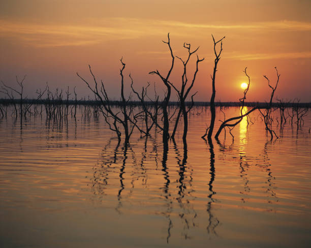 istock Sunset over Lake Kariba. 1357226222