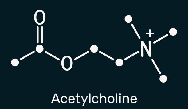 Acach 140+ Molecular Structure Of Acetic Acid Stock Photos, Pictures ...