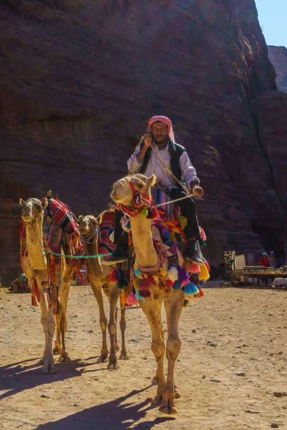 бедуин с верблюдами, петра - petra antiquities jordan middle east стоковые фото и изображения