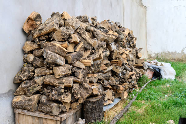 istock Pile of logs stacked on an old wall 1357242542