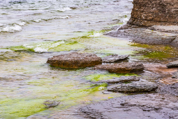 istock Limestone rocks at a rocky sea beach 1357242561