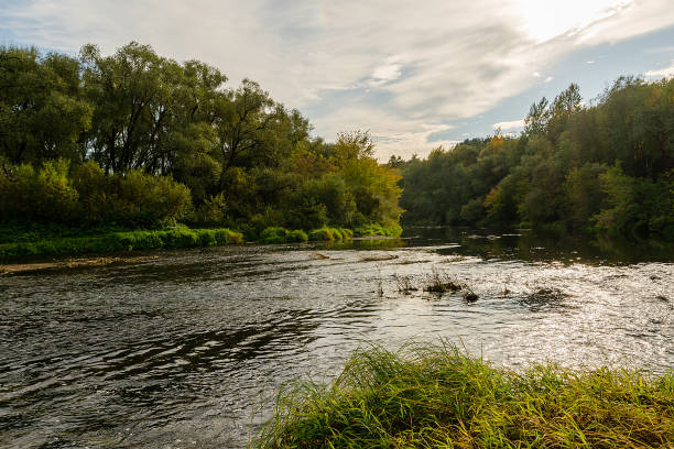istock River flowing through the autumn forest. Autumn forest 1357244427