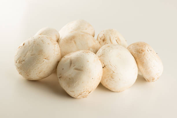 istock premium champignon mushrooms isolated 1357246194