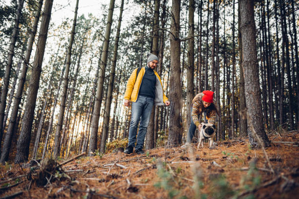 istock Couple with pet dog relaxing while hiking at forest 1357249448