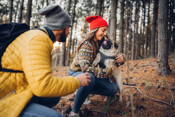 istock Taking a rest from hiking with dog 1357249499