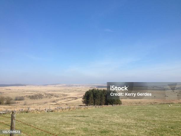 On The Road To Princetown Devon Stock Photo - Download Image Now - Beauty In Nature, Color Image, Dartmoor
