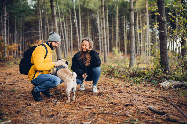 istock Young couple enjoying a walk with their dog 1357250579