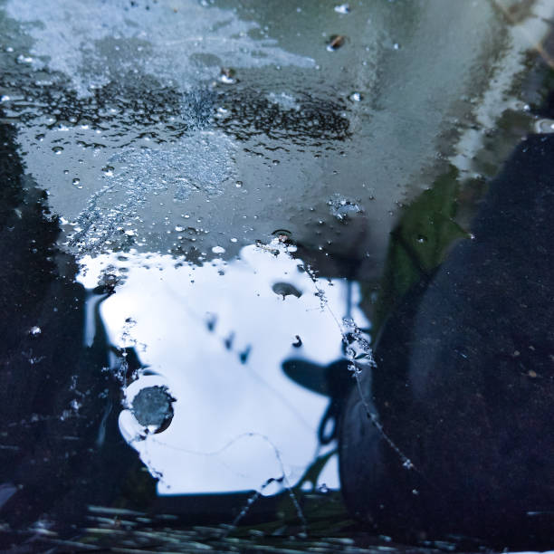 istock fun taking pictures of water drops 1357251592